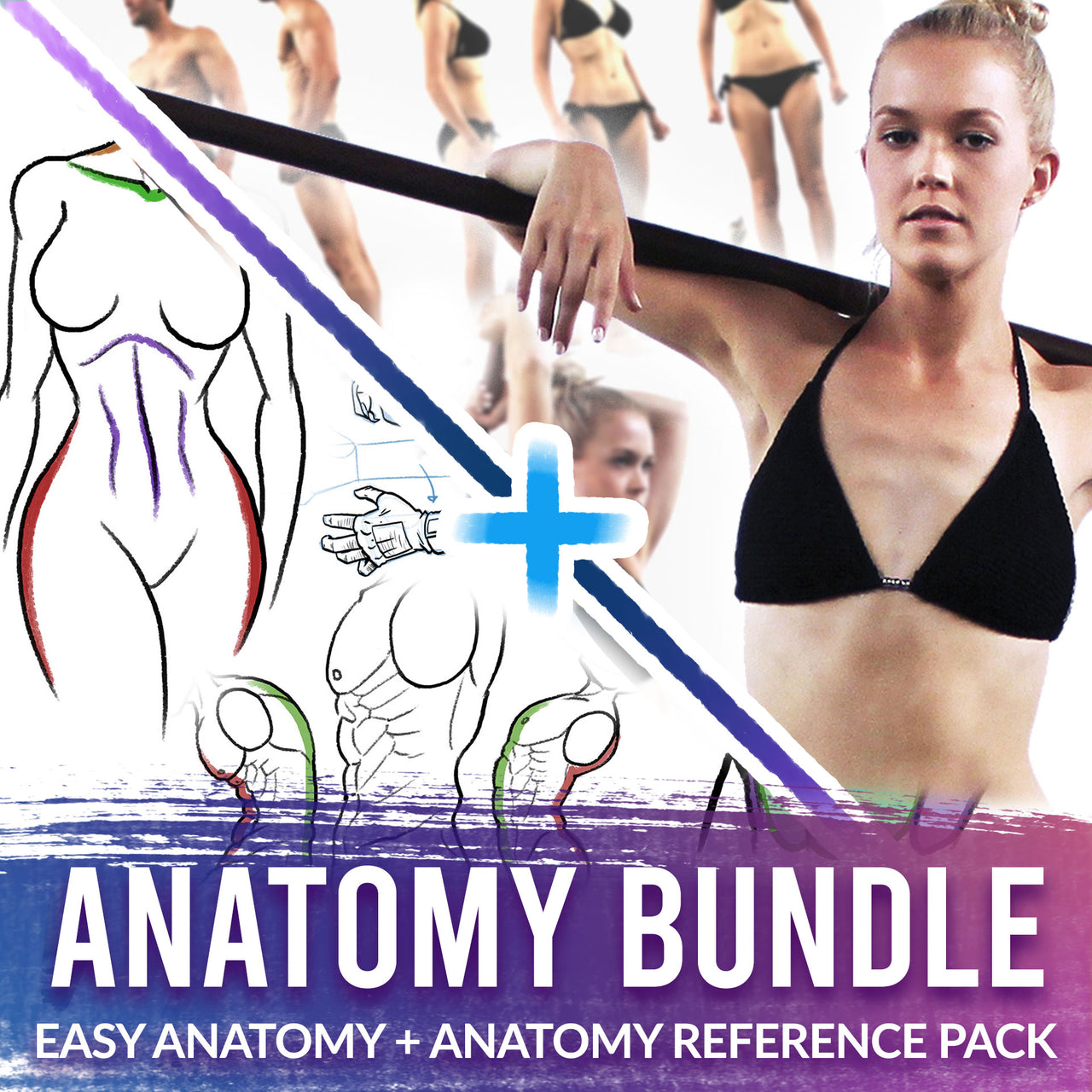 The Anatomy Bundle