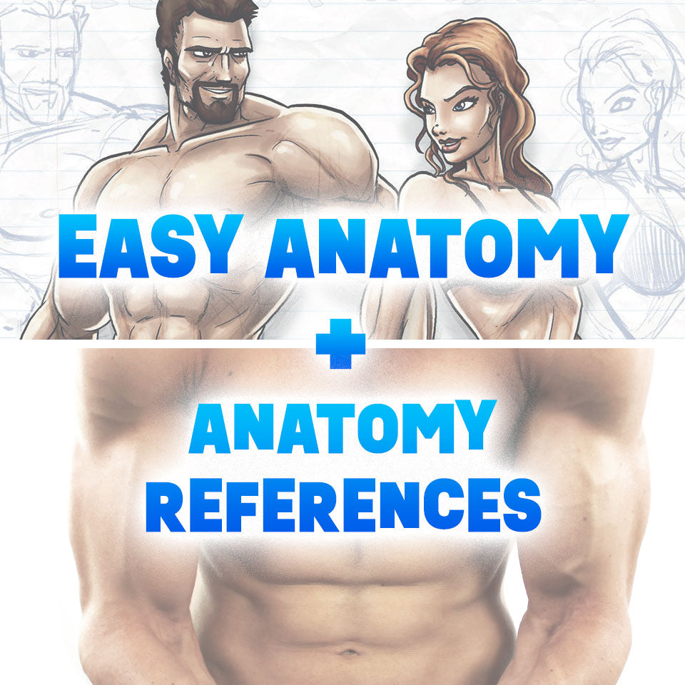 The Anatomy Bundle